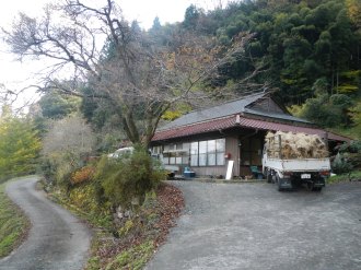 The Watanabe's house, high up in the mountains